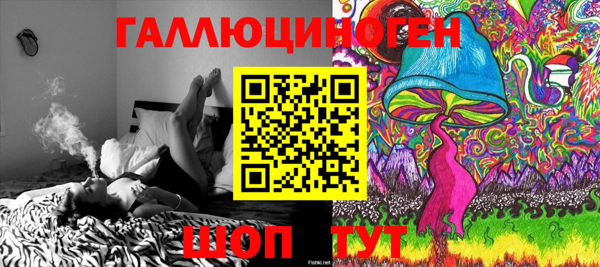 Бошки Шишки Баксан