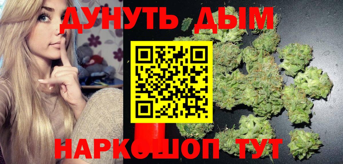 Каннабис сатива Баксан